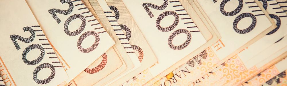 Hipoteka i kredyt firmowy w jednoosobowej działalności gospodarczej obciążają jeden budżet domowy
